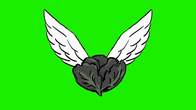 lettuce - 2d animated wings - green screen