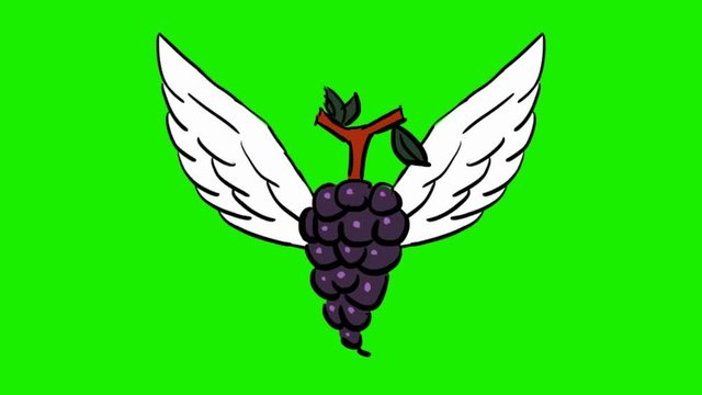 grapes - 2d animated wings - green screen