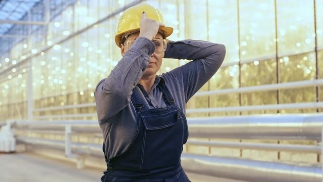 Medium shot of middle aged woman in overalls and protective goggles putting on yellow hard hat when walking along industrial greenhouse hallway, follow shot
