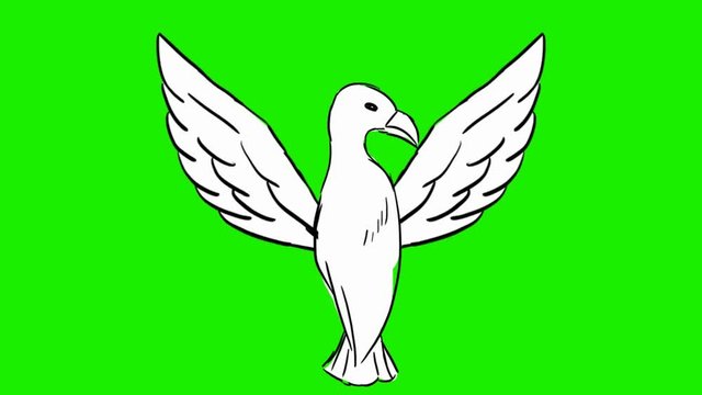 Bird - 2d animated wings - green screen