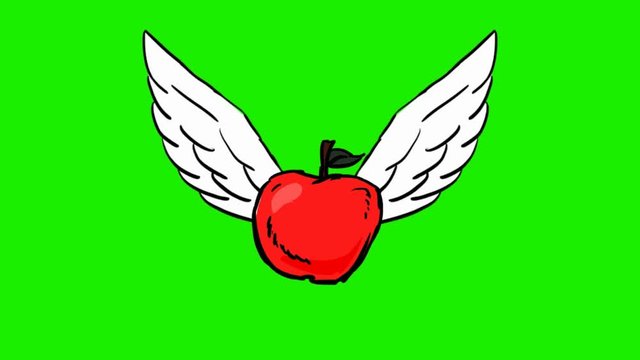 tomato - 2d animated wings - green screen
