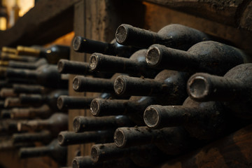 Elegant dark wine cellar bottles