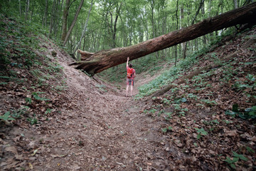 caucasian man with orange travel backpack walking in summer forest, view from behind