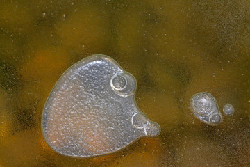 bubbles under the ice