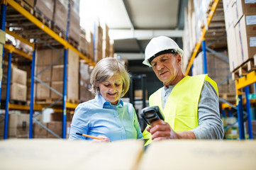 Senior woman manager and man worker working in a warehouse.