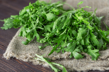 Fresh green arugula in bowl on table. Arugula rucola for salad. Close up of fresh green healthy...