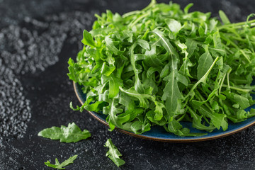 Fresh green arugula in bowl on table. Arugula rucola for salad. Close up of fresh green healthy food. Diet concept