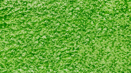 old wall of green wall  concrete  texture background