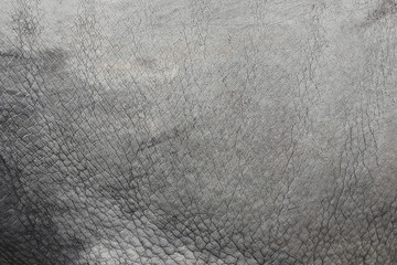 Fototapeta premium Surface of Elephant Leather skin background.