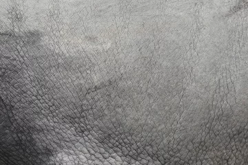 Papier Peint photo Lavable Éléphant Surface de fond de peau de cuir d& 39 éléphant.