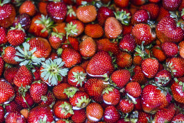 Strawberries floating in water texture.