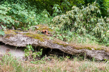 Concrete collapsed construction remains of old military bunker from world war two in the forest
