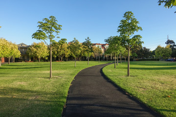 Footpath lined with trees in a park with residential townhouses in distance. Kensington, VIC...