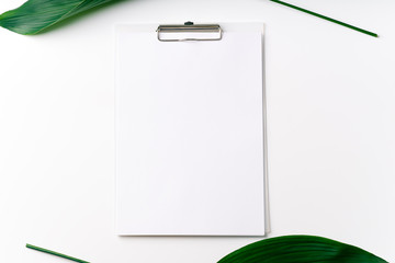 Palm leaves and a paper card with free space for text