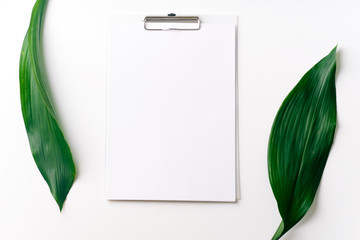Palm leaves and a paper card with free space for text