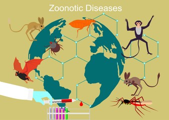 Zoonitic deseases spread in the world concept vector illustration