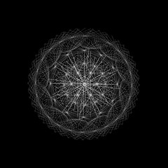 drawing of dandelion on black background vector