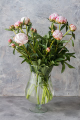 
Light rose peonies in glass vase. Gray background.