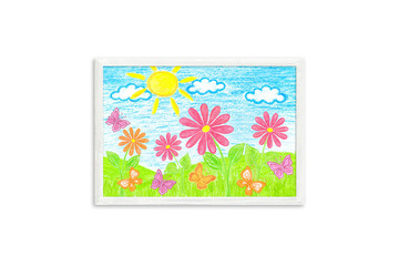 Frame mock up with colored pencils drawing, author's design illustration. Daisy flowers and colorful butterflies. 
