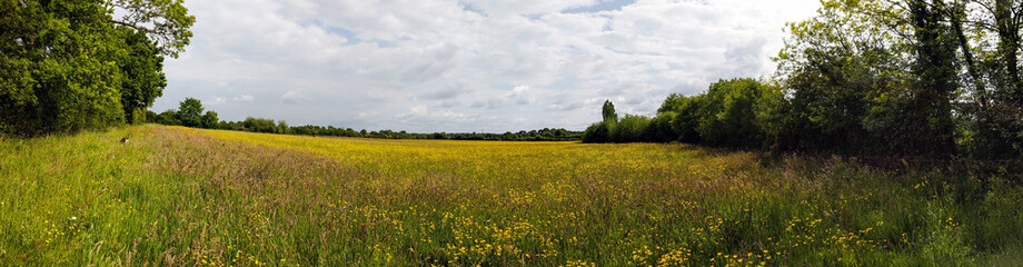 Panorama_Champs