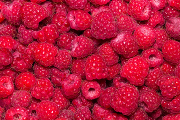 Raspberry. Fresh organic berries macro. Fruit background