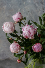 
Light rose peonies in glass vase. Gray background.