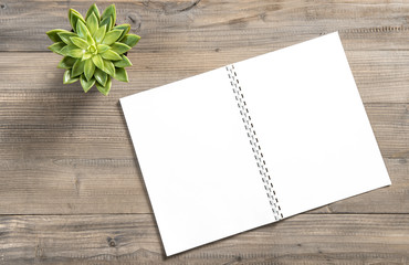 Open book succulent wooden background Office desk flat lay