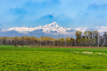 Fototapeta premium Landscape with Monviso in the background