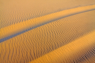 tire marks on the beach