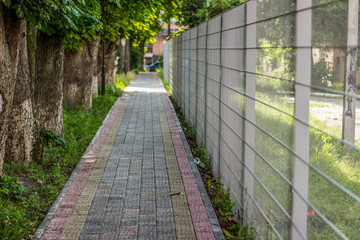 concrete empty road in backstreet alley way with metal fence and trees in summer time