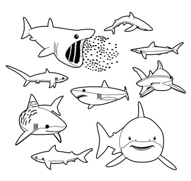 Various Sharks Cartoon Vector Illustration Monochrome