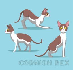 Cat Cornish Rex Cartoon Vector Illustration
