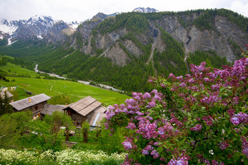 Saint Veran in den französischen Alpen