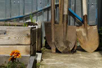 Garden tools. Set of shovels
