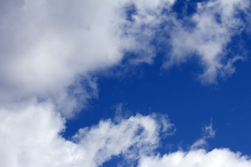 Sky clouds background. Cumulus white clouds in the dark blue sky in the morning