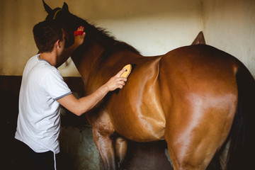 Brushing an horse