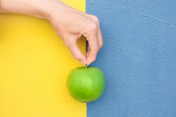 Young Caucasian Woman Holds in Hand by Stem Green Organic Apple Duotone Yellow Blue Painted Wall....