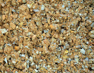 wet sand with stones texture 