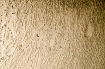 Old Wall Natural