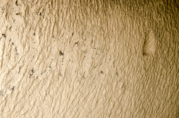 Old Wall Natural