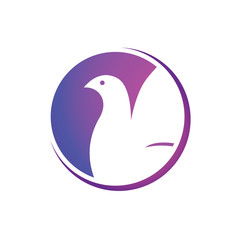 Abstract Dove Pigeon Bird Logo Symbol