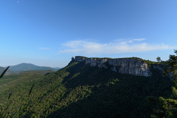 Naklejka premium Large cliff surrounded by dense forest