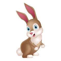 Cute rabbit cartoon