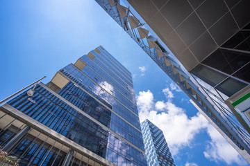 Fototapeta premium modern office building in urban