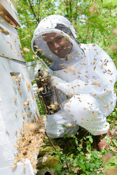 beekeeper smoking a hive