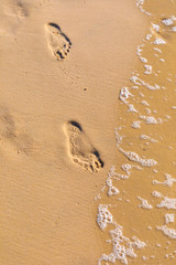 Footprints in the sand near the coastline