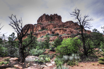 Obraz premium Bell Rock formation at Sedona, Arizona