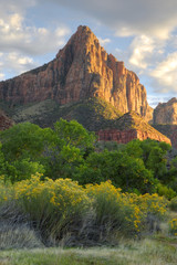 Vertical The Watchman in Zion National Park, Utah with flowers