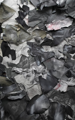 background of torn pieces of paper