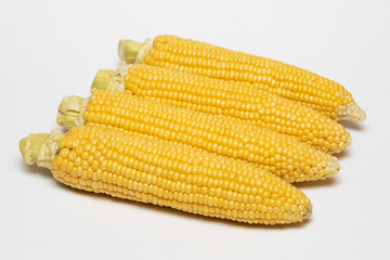 corn isolated on a white background